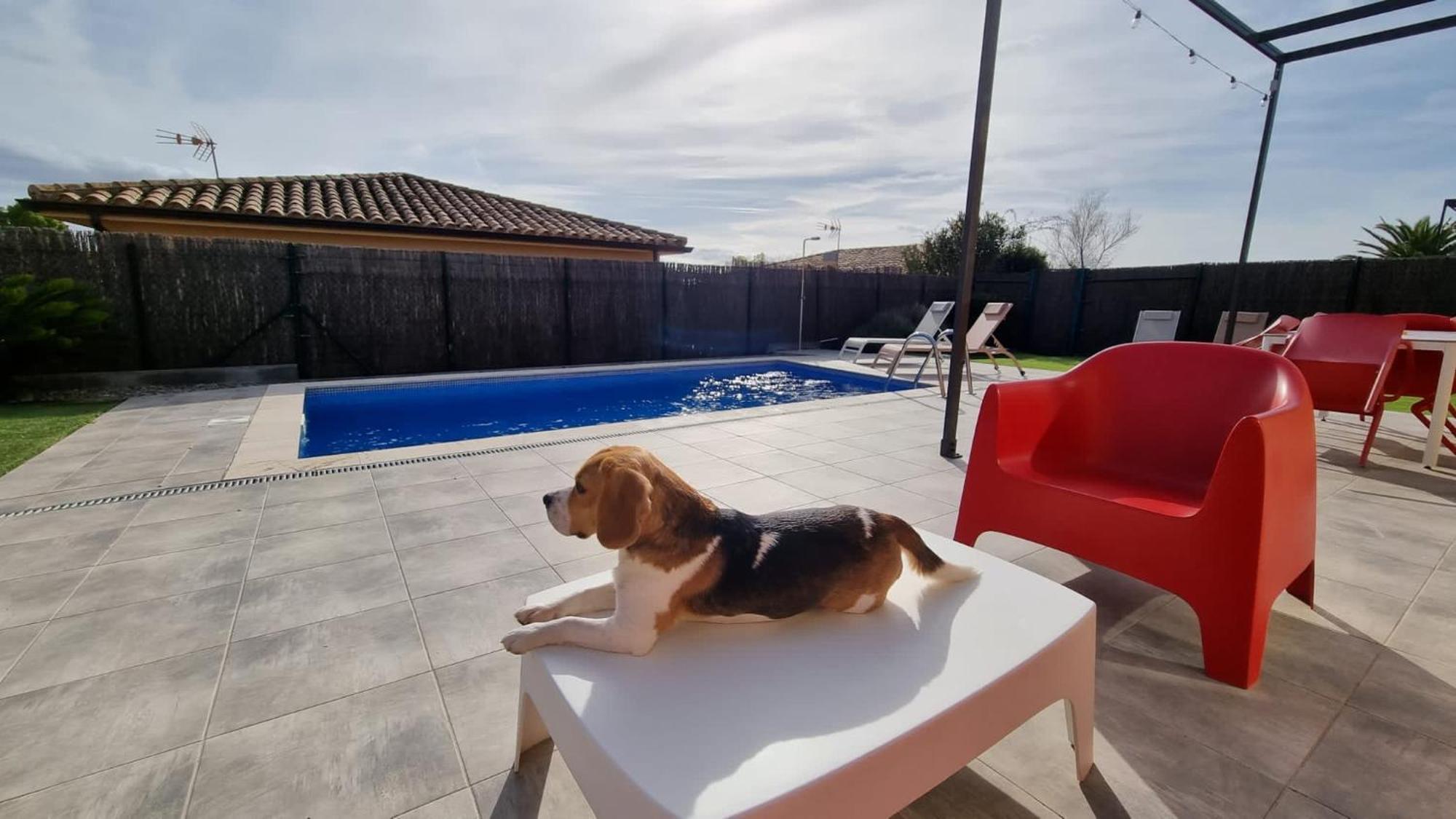 Villas Medes Mar - Plus Costa Brava L'Estartit Zewnętrze zdjęcie