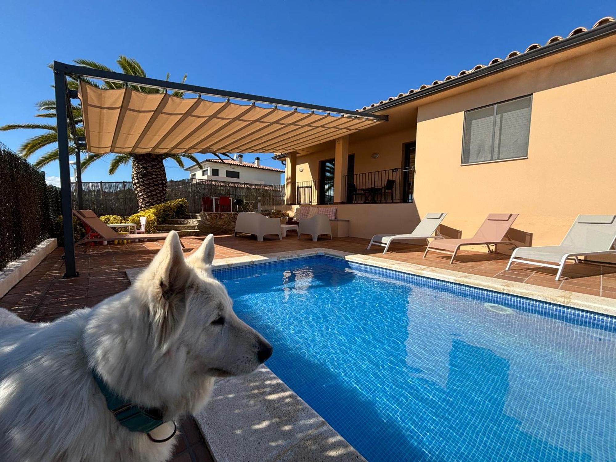 Villas Medes Mar - Plus Costa Brava L'Estartit Zewnętrze zdjęcie